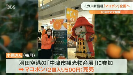 ミカン新品種「マコポン」とろける食感と濃厚な甘さ 国の品種登録完了