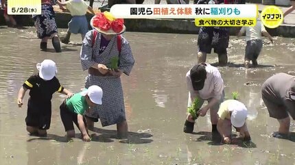 園児たちが住宅地で田植え「足元がうまっている！」泥んこ体験から学ぶ