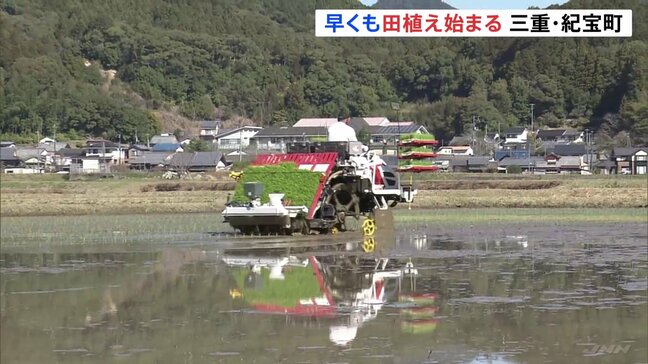 三重・紀宝町で早くも田植え始まる　お盆の前に新米として出荷される「早場米」|TBS NEWS DIG
