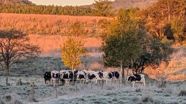 今シーズン全国初の「冬日」　北海道北部で最低気温がマイナスに　タイヤ交換の準備を|TBS NEWS DIG