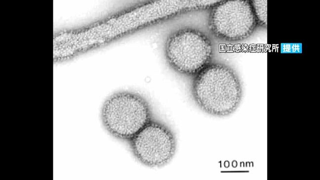 インフルエンザ学年・学級閉鎖増え続ける　前週比2倍に　鹿児島|TBS NEWS DIG