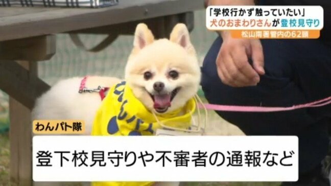 「もう学校行きたくない。ずっと触っておく」 “犬のおまわりさん”が登校見守り 愛媛・砥部町|TBS NEWS DIG