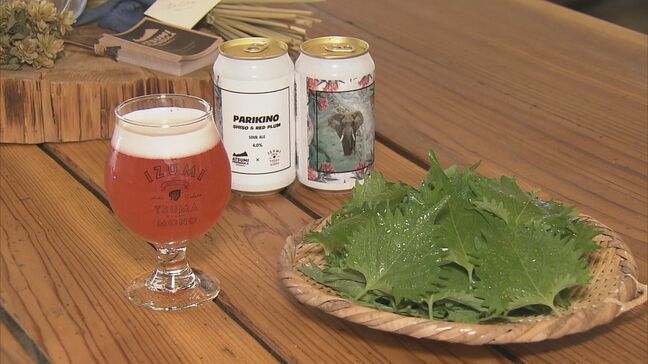 農家の挑戦「大葉ビール」作り 猛暑による高温障害…暑さ乗り切る“秘策”で地ビール醸造所とタッグ!|TBS NEWS DIG
