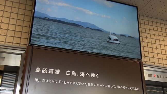 岡山芸術交流2025の開催に向けて2022年の映像作品「白鳥、海へゆく」の上映が始まる【岡山】|TBS NEWS DIG