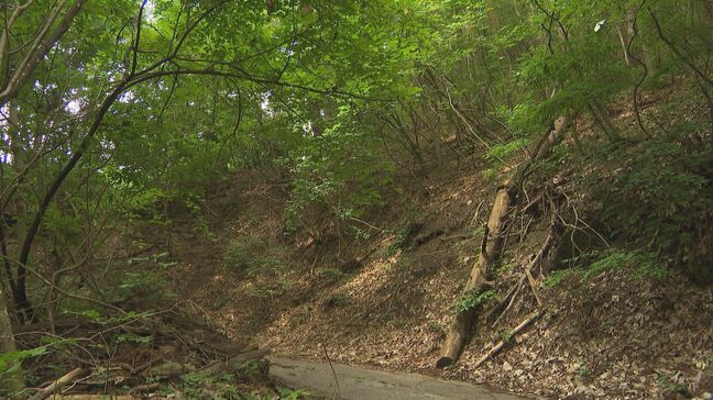 「猟銃の弾が跳ね返って肩にあたった」クマ駆除中猟友会の男性が撃った猟銃の弾で８１歳男性がケガ・長野県長野市|TBS NEWS DIG