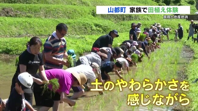 オタマジャクシもいた！国宝 通潤橋を眺めながら　田植え体験　熊本・山都町|TBS NEWS DIG