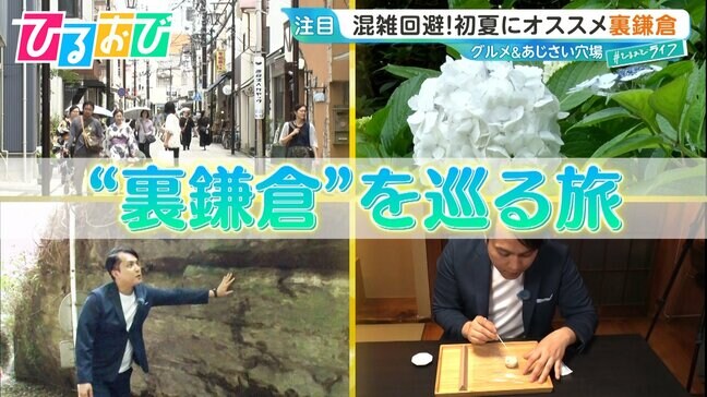 混雑回避！初夏にオススメ“裏”鎌倉　あじさいの穴場スポットも【ひるおび】|TBS NEWS DIG