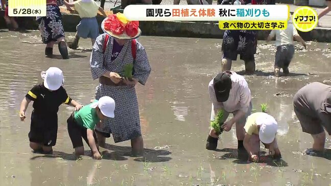 園児たちが住宅地で田植え「足元がうまっている！」泥んこ体験から学ぶ“お米の大切さ”　暑さに強い品種に変更　広島・東区|TBS NEWS DIG