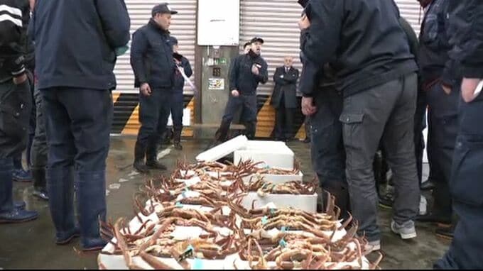 鮮魚・青果で初市 市場に威勢のいい掛け声戻る 石川県金沢市中央卸売市場|TBS NEWS DIG