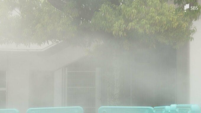 生徒の熱中症を防げ 中学校でミスト発生機の実証実験 結果は「暑さ指数」を3以上軽減！秘密は「コの字型」＝静岡・焼津市|TBS NEWS DIG