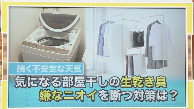 イヤ～な部屋干しの『生乾き臭』 スッキリ！洗濯のプロが教える対処法【ひるおび】|TBS NEWS DIG