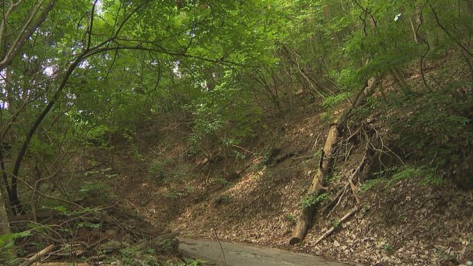 「猟銃の弾が跳ね返って肩にあたった」クマ駆除中猟友会の男性が撃った猟銃の弾で８１歳男性がケガ・長野県長野市　|　SBC NEWS | 長野のニュース | SBC信越放送
