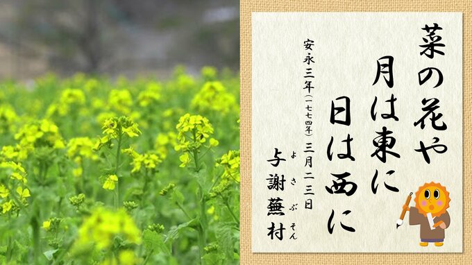 『菜の花や  月は東に  日は西に』１４日（金）今夜満月  ２５０年前  与謝蕪村が詠んだ情景が見られる？【今夜の天気】 　|　鹿児島のニュース｜MBC NEWS｜南日本放送
