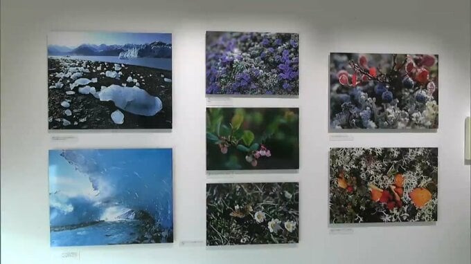 星野道夫さんの写真展「悠久の時を旅する」北極圏の自然や人をテーマにした写真140点【岡山・高梁市】|TBS NEWS DIG