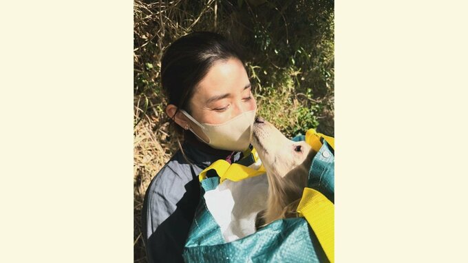【保護犬】石田ひかりさん 多頭飼育崩壊現場でダックスフント6頭保護「この子たちをどうか幸せにしてあげてください！」譲渡会開催を呼びかける|TBS NEWS DIG