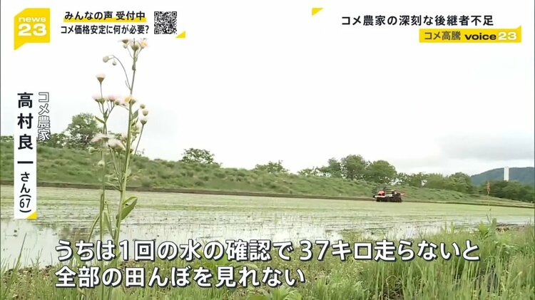 【中古】 コメと農業が危ない 「コメ・農業潰しに黙っていられない」東北集会報告/同友館/坂本進一郎 Amazon.co.jp: コメと農業が危ない: コメ・農業潰しに黙ってい