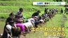 オタマジャクシもいた！国宝 通潤橋を眺めながら　田植え体験　|　熊本のニュース｜RKK NEWS｜RKK熊本放送