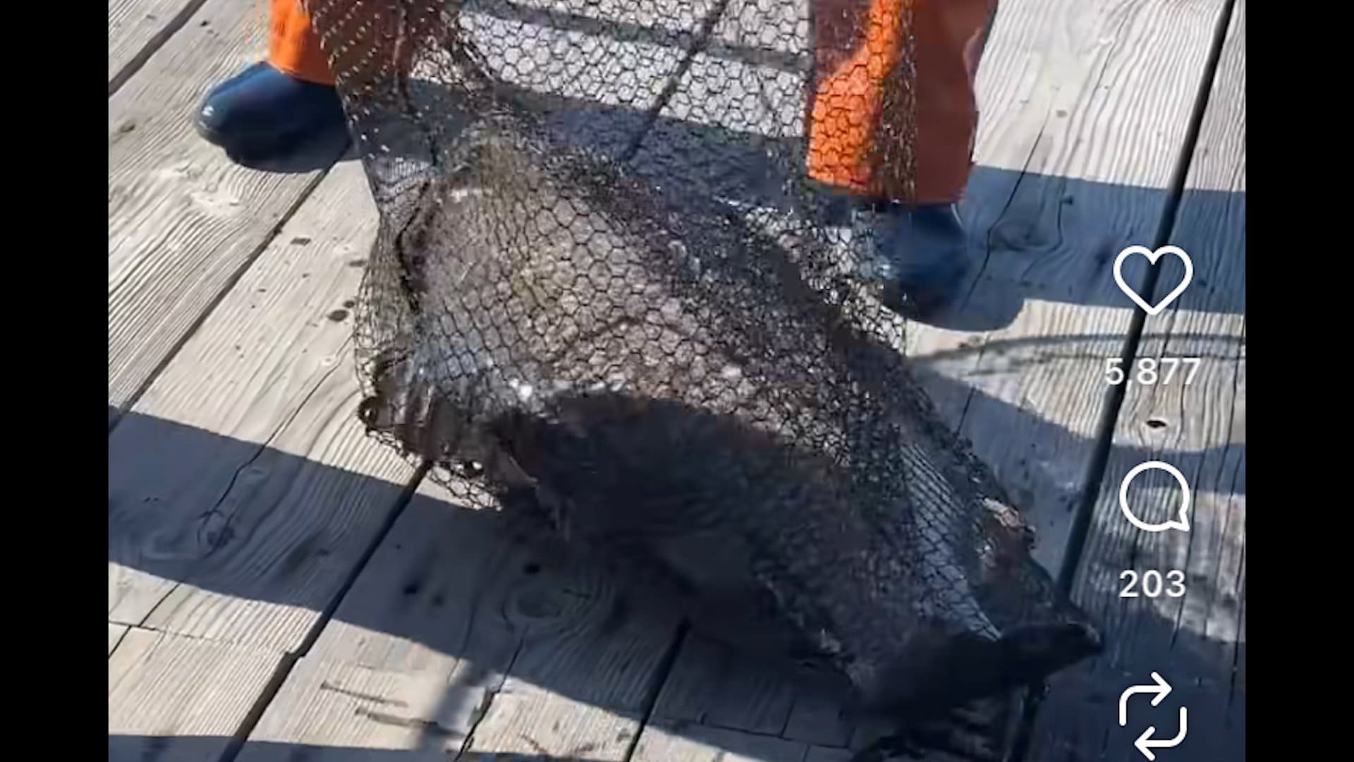 img_ad43151c3579c005652d31c0dd