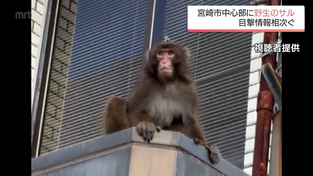 img_adab8a610961fb8bd1342b358c