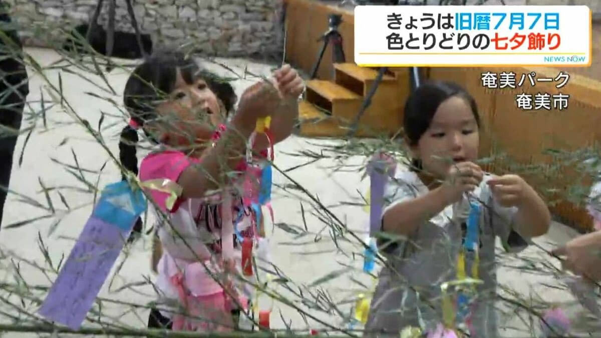 きょうは旧暦7月7日　奄美は七夕飾り