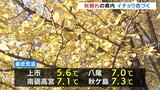 すっきした秋晴れ 朝は冷え込みイチョウが色づく 夜は雨になるところも 富山|TBS NEWS DIG