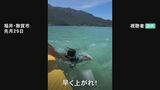 「痛い痛い!」 イルカが海水浴客に噛む様子が映像に「甘噛みされたり、尾びれで蹴られたり」3週間で5件の被害…福井県内の海水浴場　|　石川県のニュース｜MRO北陸放送