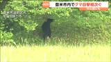【クマ映像あり】市役所近くにもクマ目撃相次ぐ　時間をおいて再び現れる　宮城・登米市|TBS NEWS DIG
