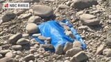 発見者「ガスボンベかと思ったら...」河川敷で不発弾みつかる【長崎・大村】　|　長崎のニュース | 天気 | NBC長崎放送