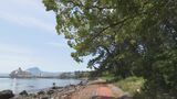 温泉観光都市の人気スポット 上人ヶ浜公園整備事業のコテージや駐車場規模を縮小へ 大分・別府市 | 大分のニュース|OBS NEWS|大分放送