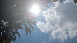 甲府は猛暑日の36度予想 県内に熱中症警戒アラート 昼過ぎから雨や雷雨のところも 山梨 | 山梨のニュース | UTYテレビ山梨
