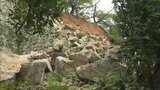 津山市の鶴山公園で石垣の一部が崩落　現地で市職員による原因調査始まる　安全確認のため19日まで休園【岡山】　|　岡山・香川のニュース | 天気 | RSK山陽放送