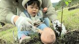 来年岡山で開催される「全国植樹祭」に向け “県民参加の植樹イベント” ヤマザクラやトチノキなど11種類750本|TBS NEWS DIG
