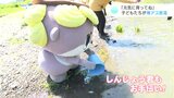 「バイバイ！元気に育ってね！」子どもたちが稚アユを放流　しんじょう君もお手伝い|TBS NEWS DIG