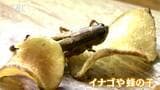 「虫にしか出せない味とワインのマリアージュ」長野市のレストランで異色のイベント|TBS NEWS DIG