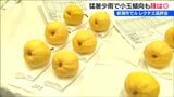 新潟特産の洋ナシ「ルレクチエ」品評会 少雨と猛暑の影響で小玉傾向・収量少なく | 新潟のニュース・天気|BSN NEWS|BSN新潟放送