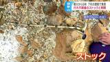 御嶽山で発見のストック「何かの手がかりに…」行方不明者の所持品と判明|TBS NEWS DIG