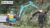 木が倒れ国道を塞ぐ　片側交互通行 昼前に解除【長崎市 多以良町】|TBS NEWS DIG