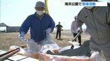 台風14号 海岸に大量のごみ漂着 老人クラブが回収 大分 | 大分のニュース|OBS NEWS|大分放送