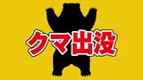 またも熊目撃　警察が警戒呼びかけ　山口県岩国市　|TBS NEWS DIG