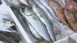 鮮魚店「例年入っている魚の入荷がない…やっぱり温暖化の影響が出てるのかな」暑さで品ぞろえにも影響が|TBS NEWS DIG