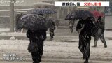 交通に乱れ 最強寒波で雪降り続き 北陸道通行止めや列車の運転とりやめや遅れも 富山|TBS NEWS DIG