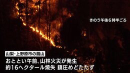 山梨・上野原市の山林火災　火は最も近い住宅まで約50ｍに迫る|TBS NEWS DIG