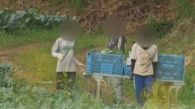 ミャンマー人暴行疑惑の町議を直撃　記者が見せた動画に「私に聞こえるかい？」議会も欠席し役場には抗議殺到、問われる説明責任　北海道京極町|TBS NEWS DIG
