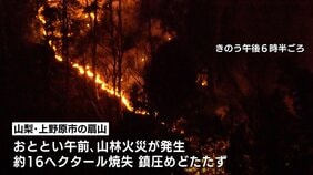 山梨・上野原市の山林火災　火は最も近い住宅まで約50ｍに迫る|TBS NEWS DIG