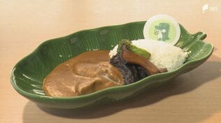 伊豆の魅力を一皿に！「完熟バナナの熱川ポークカレー」地元銘柄豚とバナナのコラボで伊豆の魅力発信【しずおか産】　|　静岡のニュース | SBSNEWS | 静岡放送