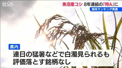 再値下げ。①近隣お届け可、食味評価特A評価常連の最高級品種、魚沼産コシヒカリに次ぐ評価と言っても過言ではないと思います。新米つや姫玄米30kg　ご希望の場合無料精米します 2025年産『魚沼コシヒカリ』が8年連続で最高ランクの“特A”評価【米の
