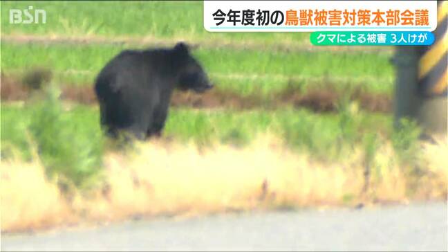 市街地での猟銃使用条件を定めた『改正鳥獣保護管理法』の施行も控え　現在『クマ出没警戒注意報』発表中　新潟県|TBS NEWS DIG