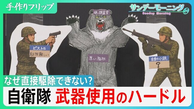 クマ被害「過去最悪」で自衛隊派遣も…なぜ直接駆除せず？立ちはだかる“法的根拠”と“装備の検討” 今回の出動は「民生支援」に【サンデーモーニング】|TBS NEWS DIG