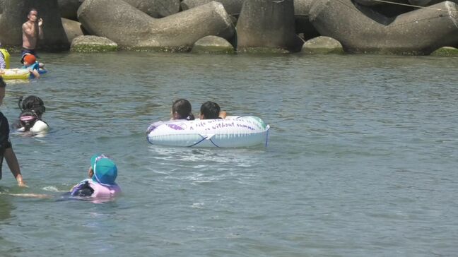 お盆を過ぎたのに、海水浴場に今年はクラゲが少ない…なぜ？　|TBS NEWS DIG