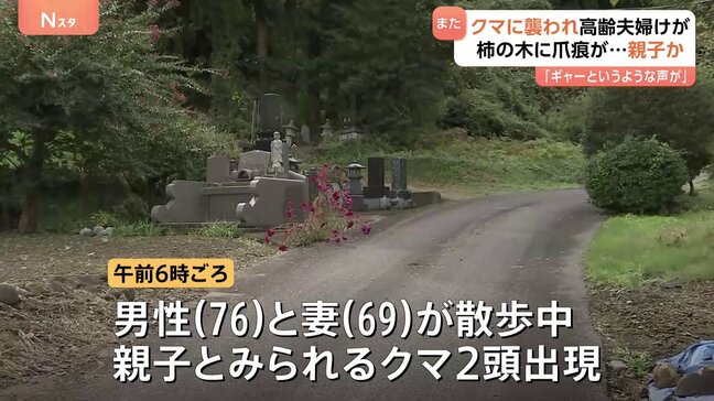 群馬・みなかみ町で“親子グマ”に高齢夫婦が襲われる 近隣ではスーパーに侵入など出没相次ぐ「今年は異常」|TBS NEWS DIG